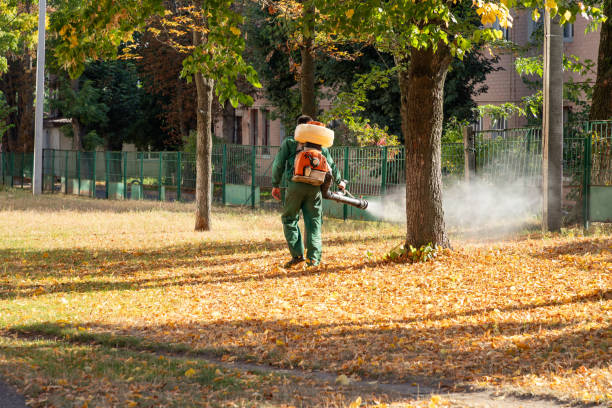 Professional Pest Control in Star City, WV